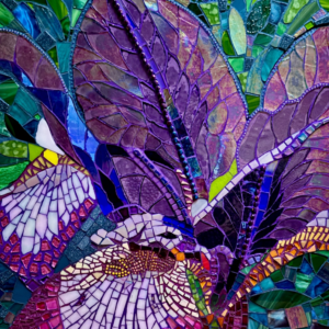 "Iris" By Stacy Holmstedt