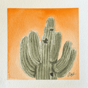 "Sunlit Saguaro" By Aubree Hansen