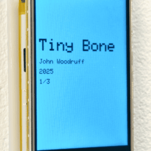 "Tiny Bone" By John Woodruff