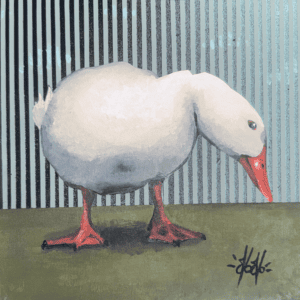 "Shy Duck" By Norman Davis